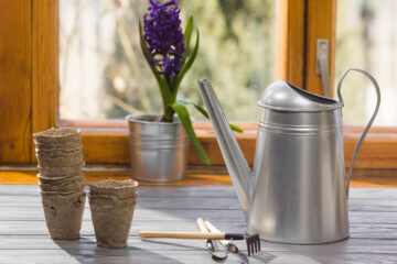 O Papel da Umidade na Aromação: Práticas Simples de Irrigação para Cultivar Ervas Aromáticas em Casa