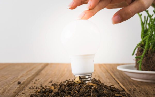 Iluminação Artificial: Como Dar Luz às Suas Ervas Aromáticas