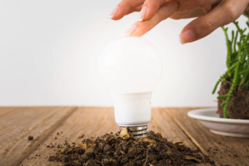 Iluminação Artificial: Como Dar Luz às Suas Ervas Aromáticas