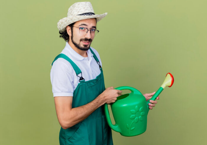 Alho Cultivado em Vaso