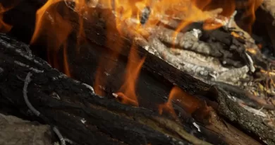 Cinzas-de-Madeira_texto