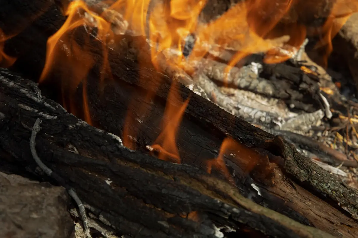 Cinzas-de-Madeira_texto