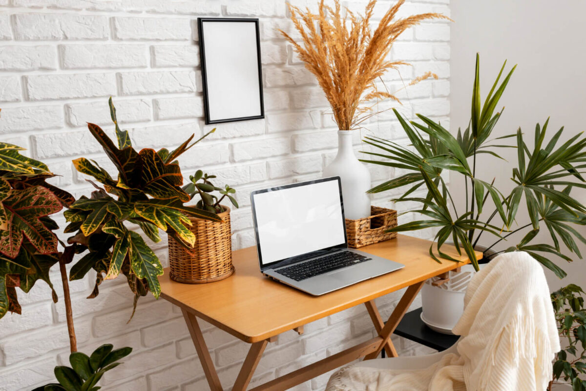 Plantas para Escritório Fechado com Ar Condicionado