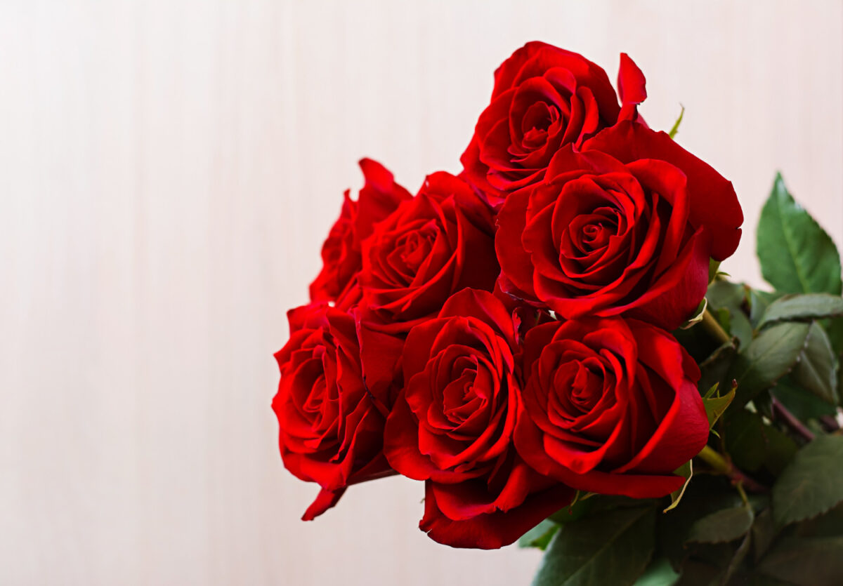 Rosas Vermelhas