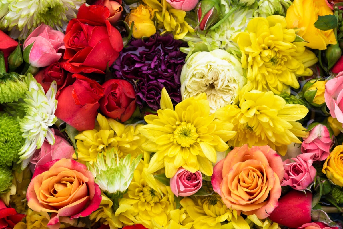 significado das flores