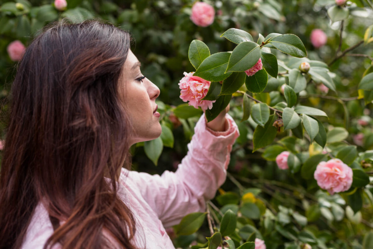 10 Plantas que Exalam Perfume Divino no Jardim
