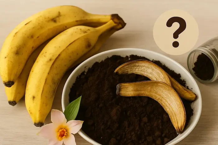 Duvidas-Adubo-Banana-Cafe-Compactada (1)