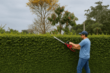 Poda Essencial da Trepadeira Unha de Gato