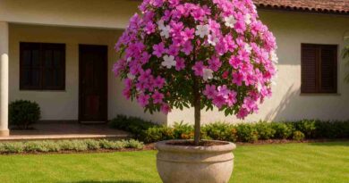 Manacá da Serra Anão